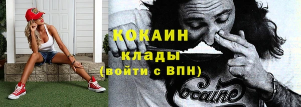 гашик Беломорск
