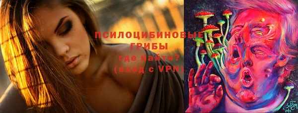 винт Белокуриха