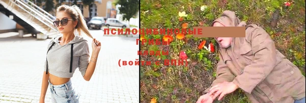 гашик Беломорск