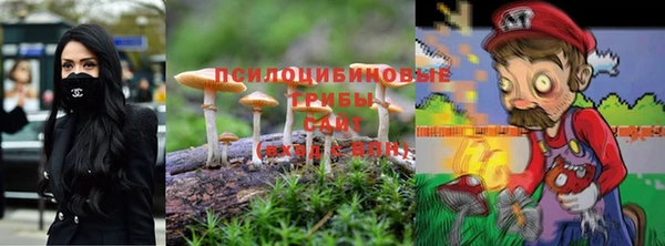 гашик Беломорск