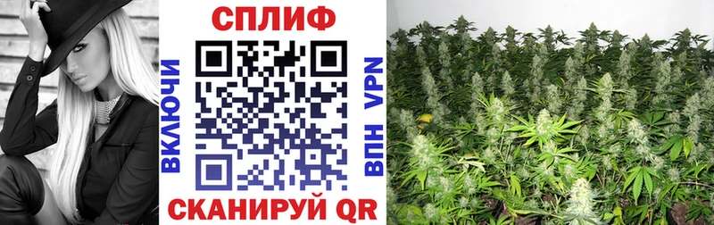 Купить закладки  Урень  Каннабис OG Kush 